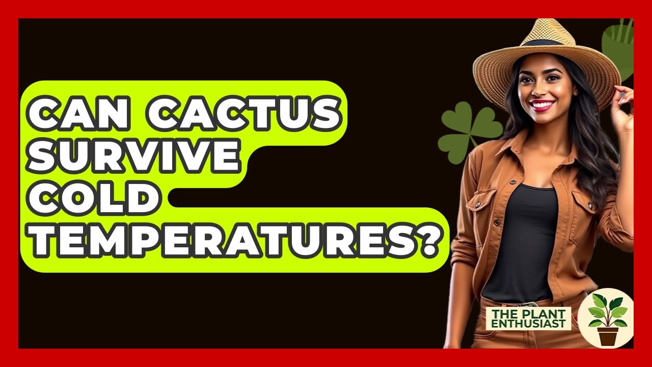 Can a Cactus Survive in Cold Weather
