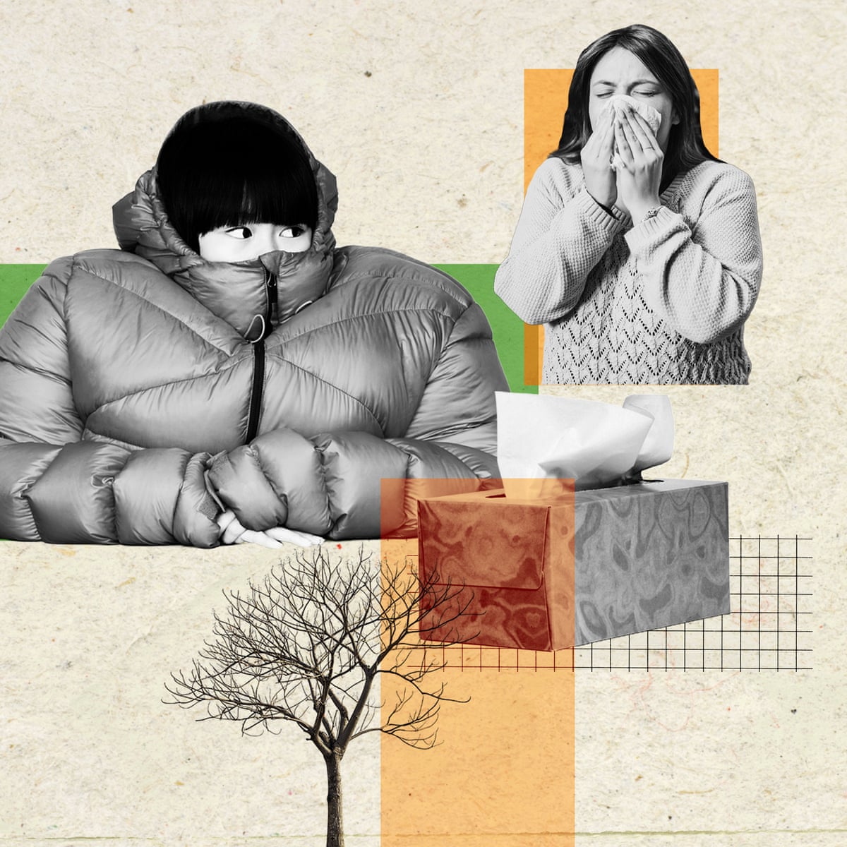 Can a Virus Survive Cold Weather