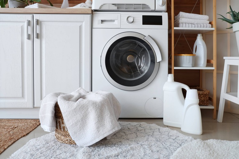 Can Bacteria Survive on Clothes