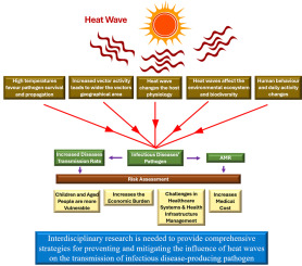Can Coronavirus Survive Hot Weather