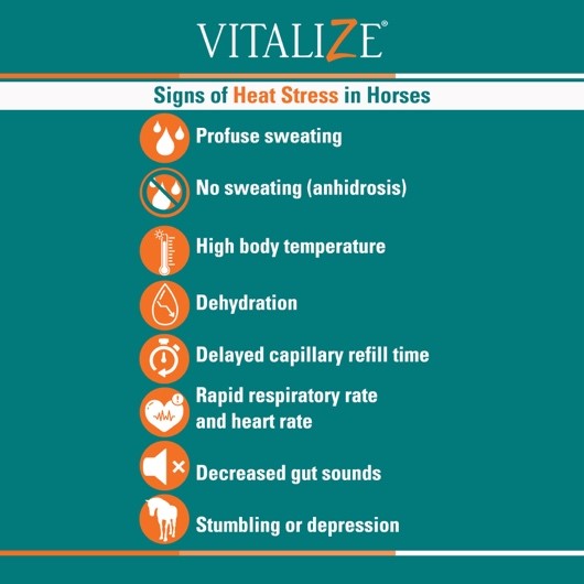 Can Horses Survive Negative 21 Temperatures With No Shelter