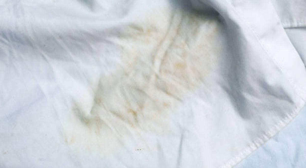Can Mold Survive on Dry Clothes