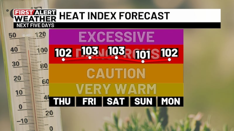 Can My Plants Survive 40 Degree Weather? Essential Tips Revealed