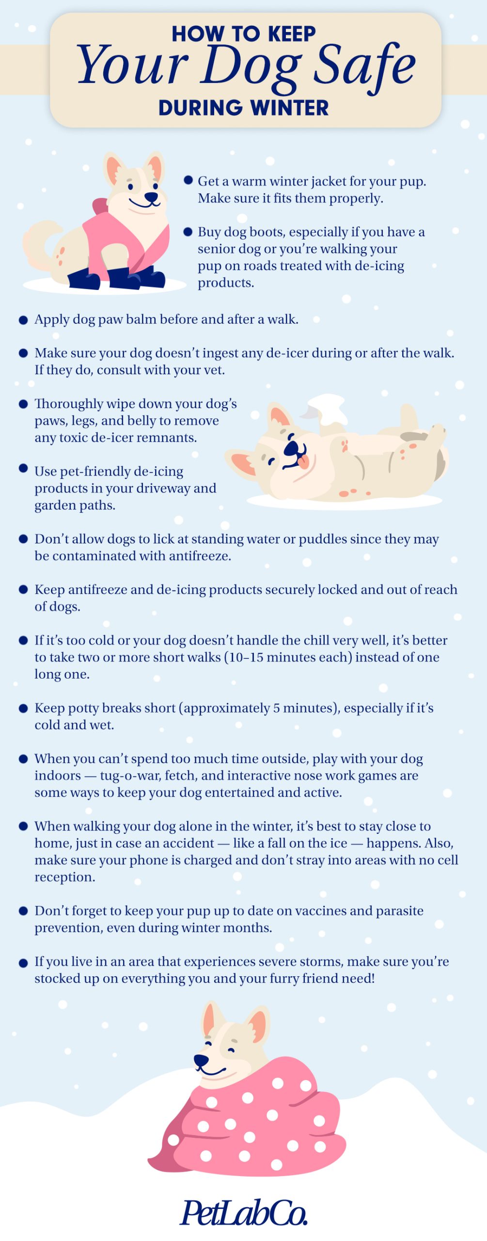 Can Puppies Survive in Cold Weather: Essential Survival Tips