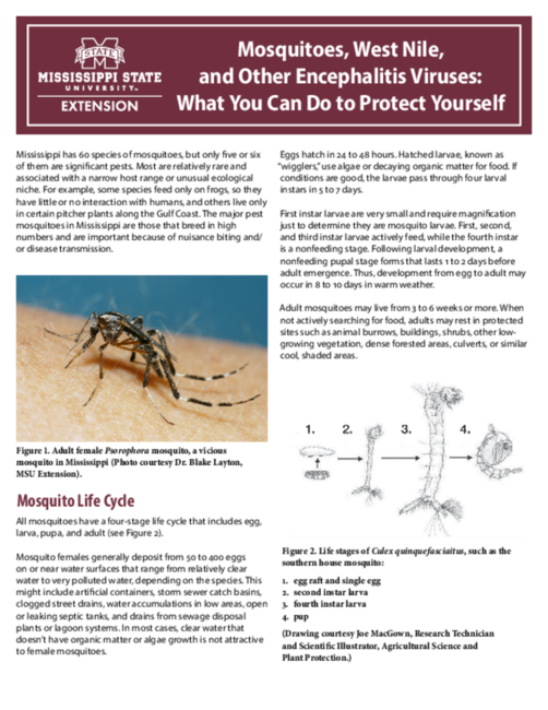 Can Viruses Survive Warm Weather? Surprising Facts Revealed