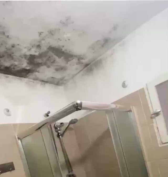 Can Yeast Survive Clothes Washing? Shocking Truth Revealed!