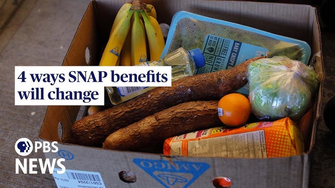 Can You Get Emergency Food Stamps? Quick Guide to Apply Fast