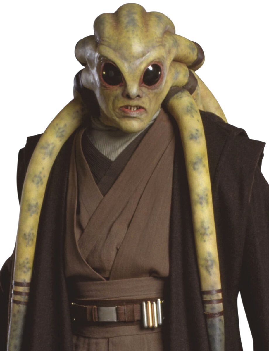 Did Kit Fisto Survived Order 66