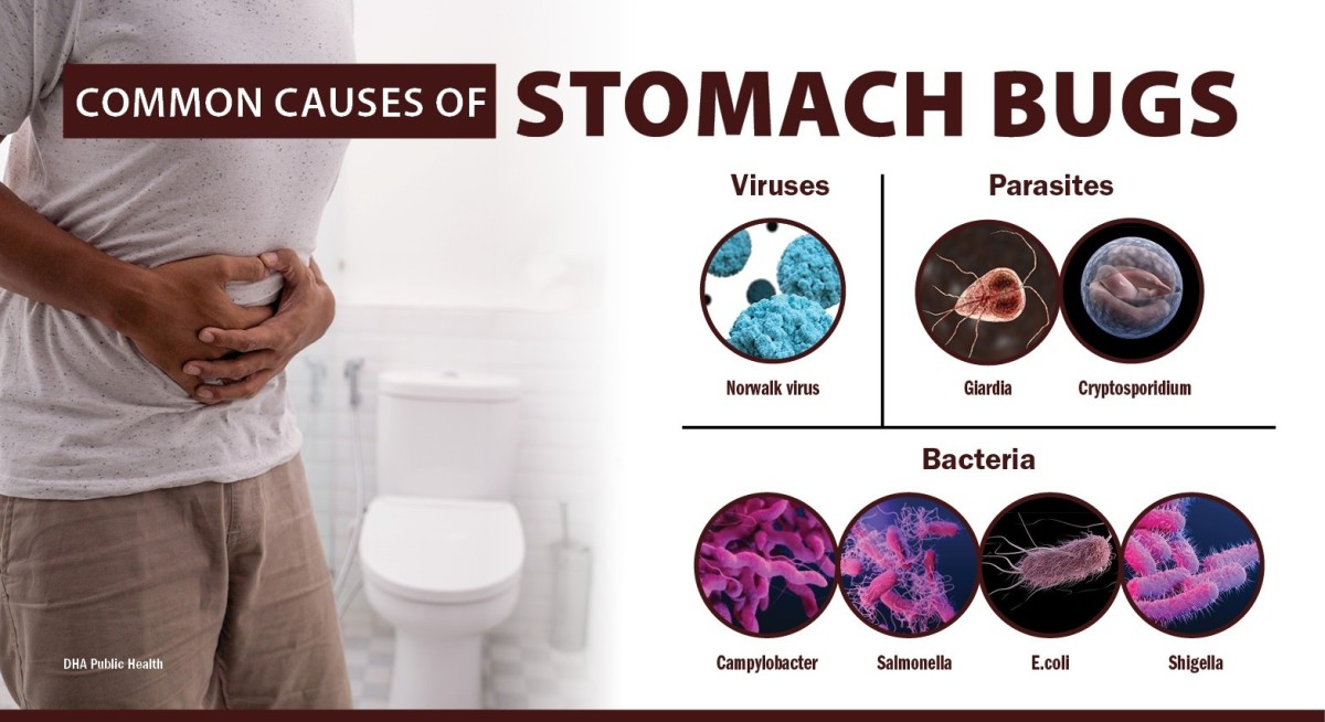 Do Germs Survive on Clothing: Shocking Truths Revealed