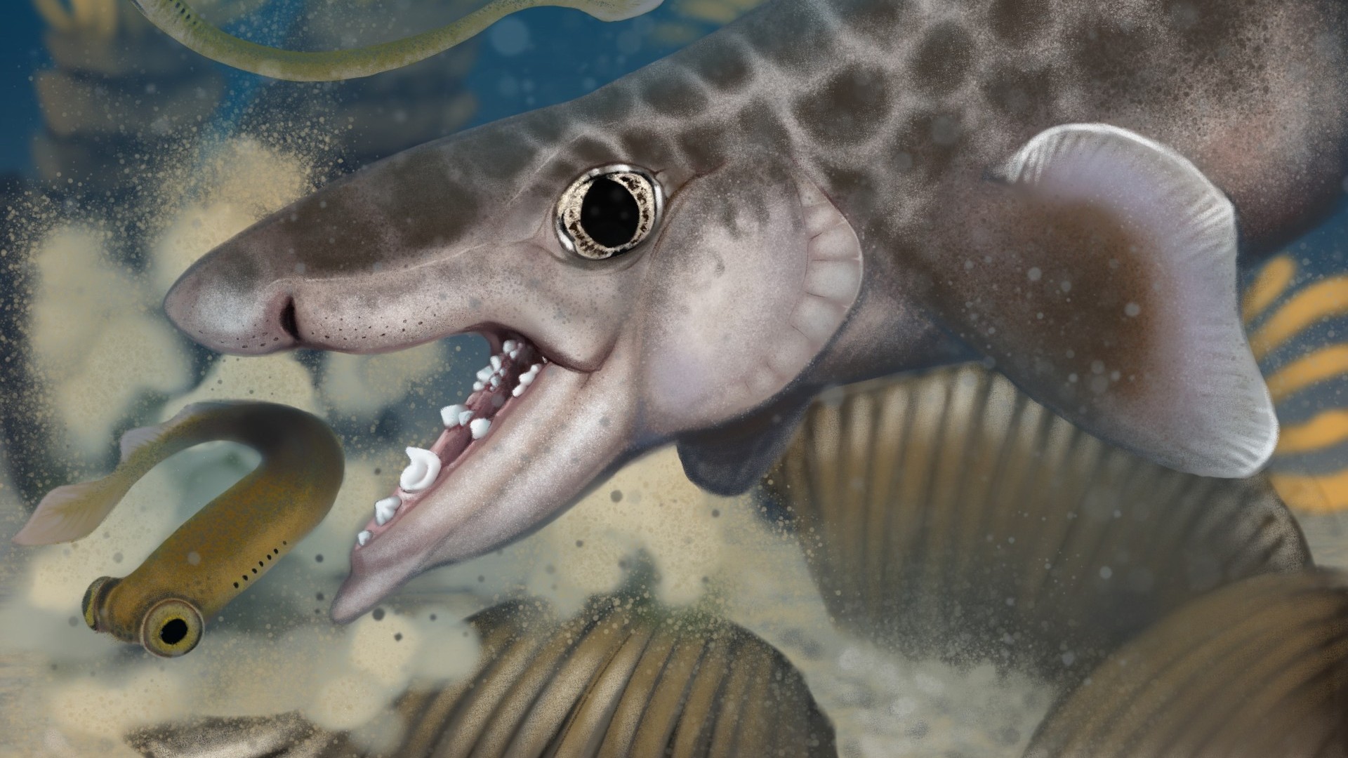 How Long Can a Shark Survive Out of Water: Surprising Facts Revealed