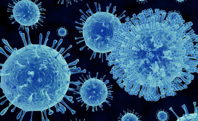 How Long Does Norovirus Survive on Clothes