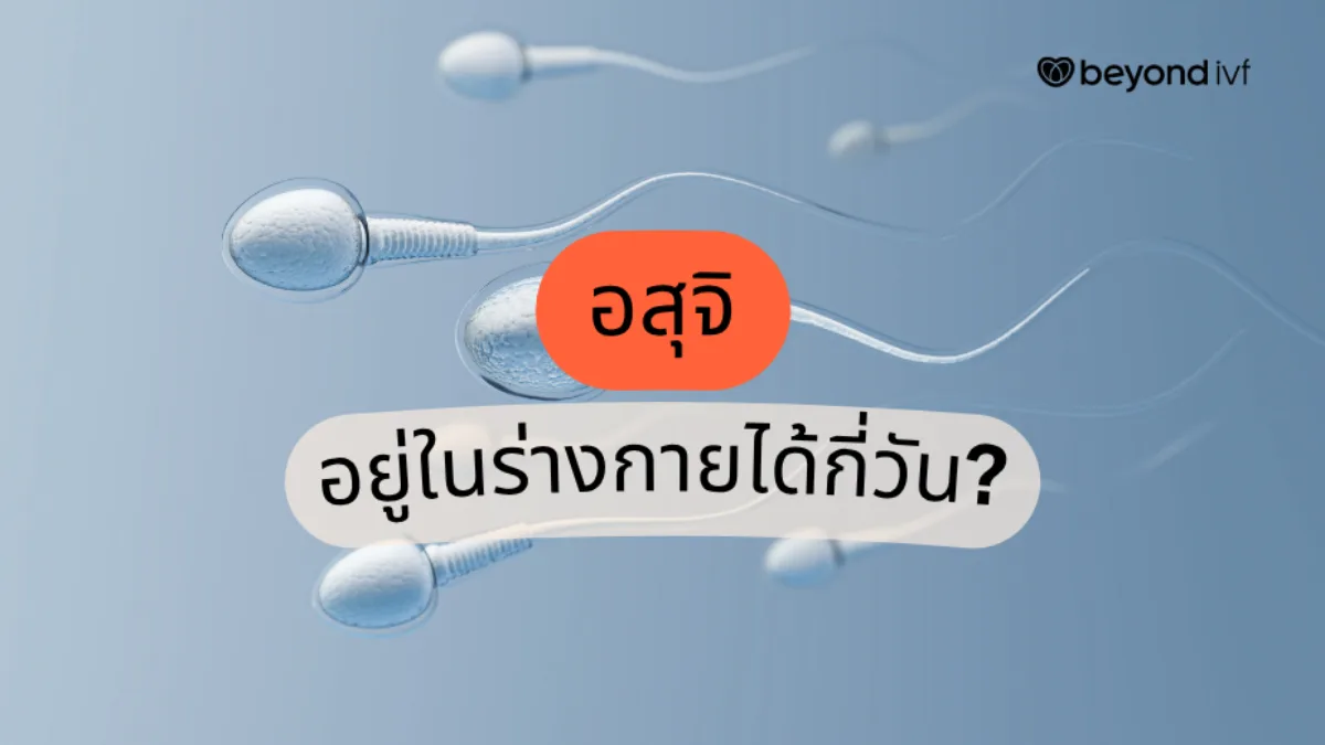 How Long Does Semen Survive on Clothes: Facts & Myths