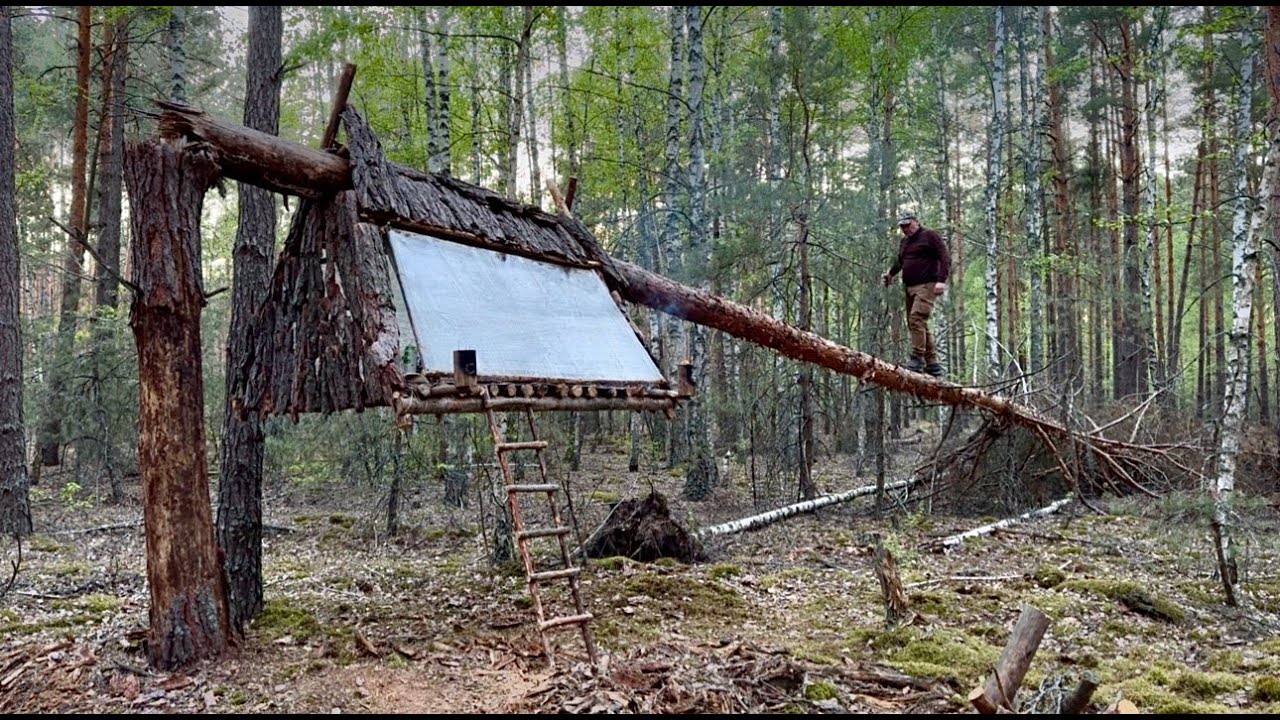 How to Build a Lean to Survival Shelter: Easy Steps for Safety