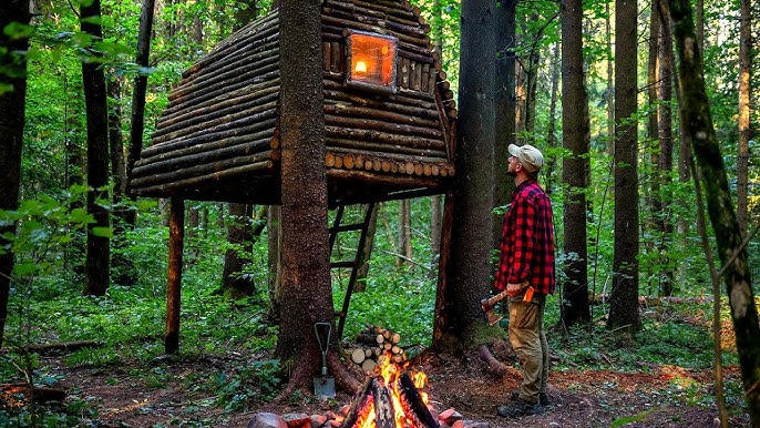 How to Build a Survival Shelter in a Tree