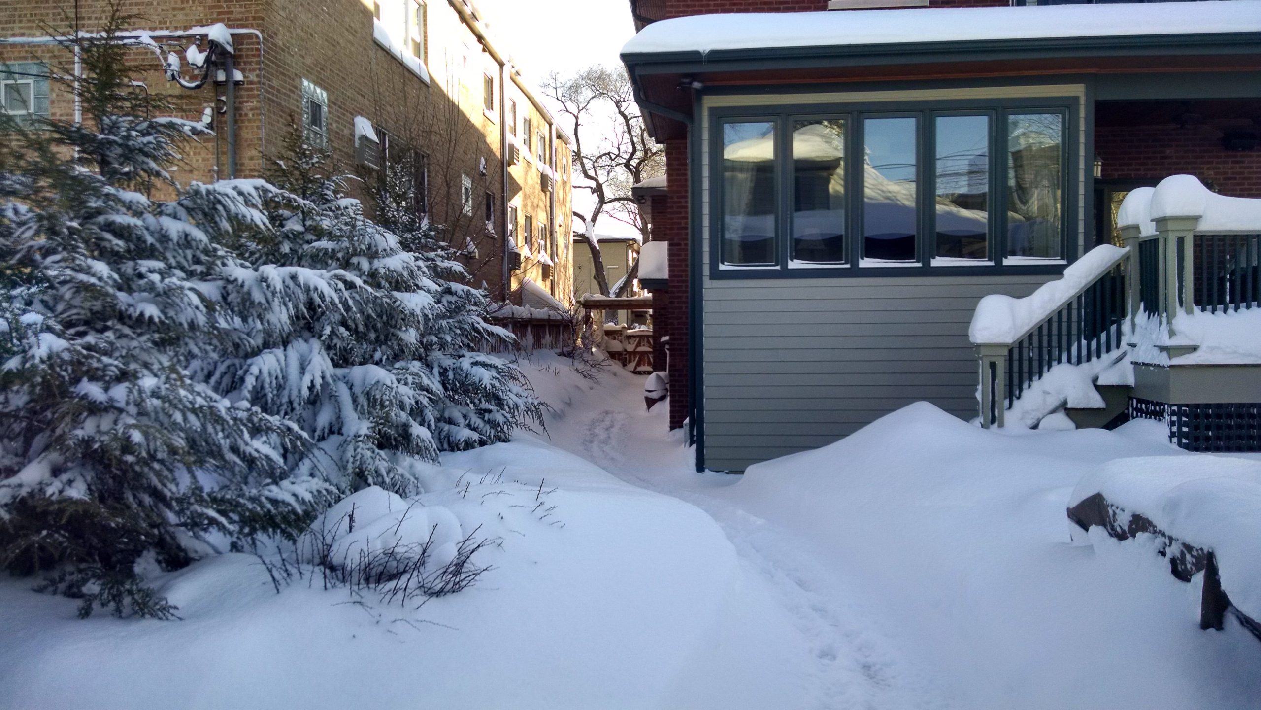 How to Survive Chicago Weather: Essential Tips for Every Season