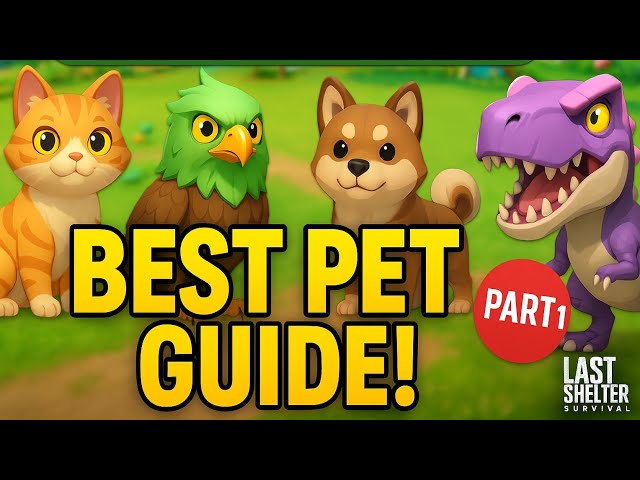 How to Take a Dog Out in Last Shelter Survival: Expert Tips