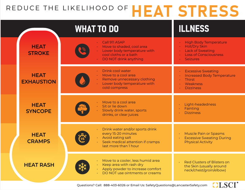 What is the Average Temperature Humans Can Survive Without Clothing
