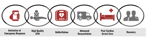 What is the Chain of Survival in First Aid
