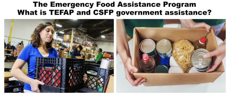What is the Emergency Food Assistance Program: Essential Facts Revealed