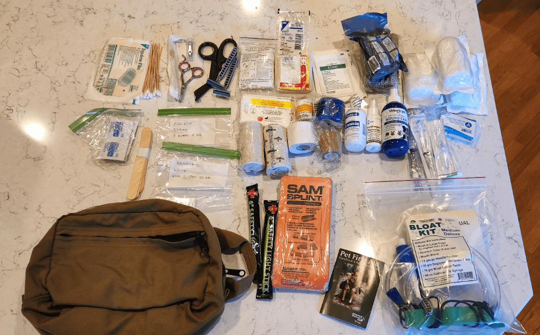 What to Put in Dog Survival Kit: Essential Items for Safety & Care