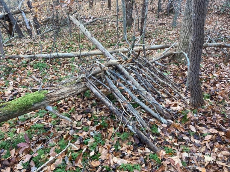 What to Stock in a Survival Shelter: Essential Supplies