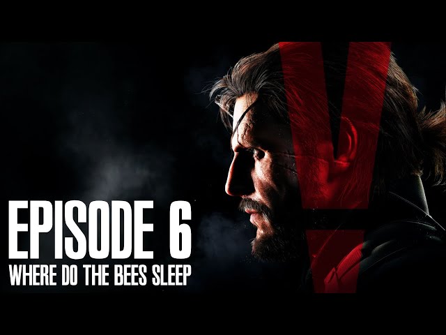 Where Do the Bees Sleep Metal Gear: Unveiling the Secrets