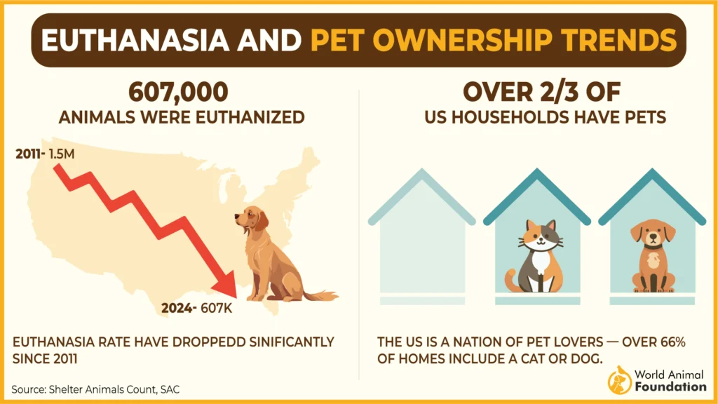 Why Animals Need Shelter to Survive: Essential Insights