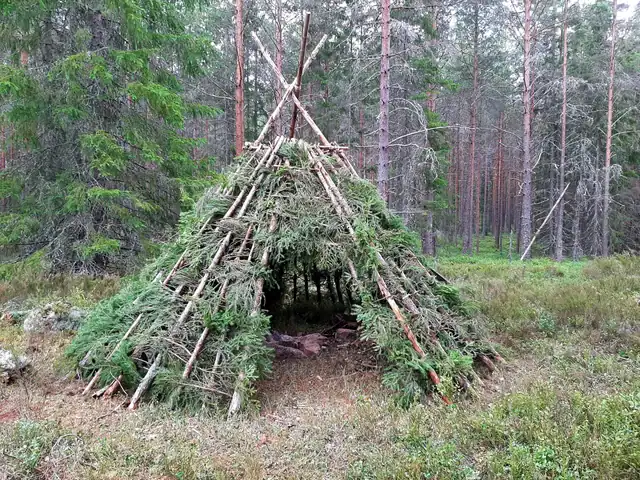 Why Do You Need Shelter to Survive