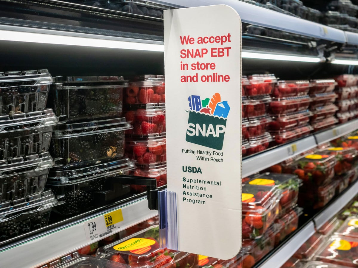 Will the Government Give Emergency Food Stamps