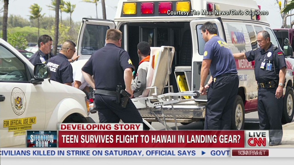 Can a Stowaway Survive in Landing Gear? Shocking Truth Revealed!