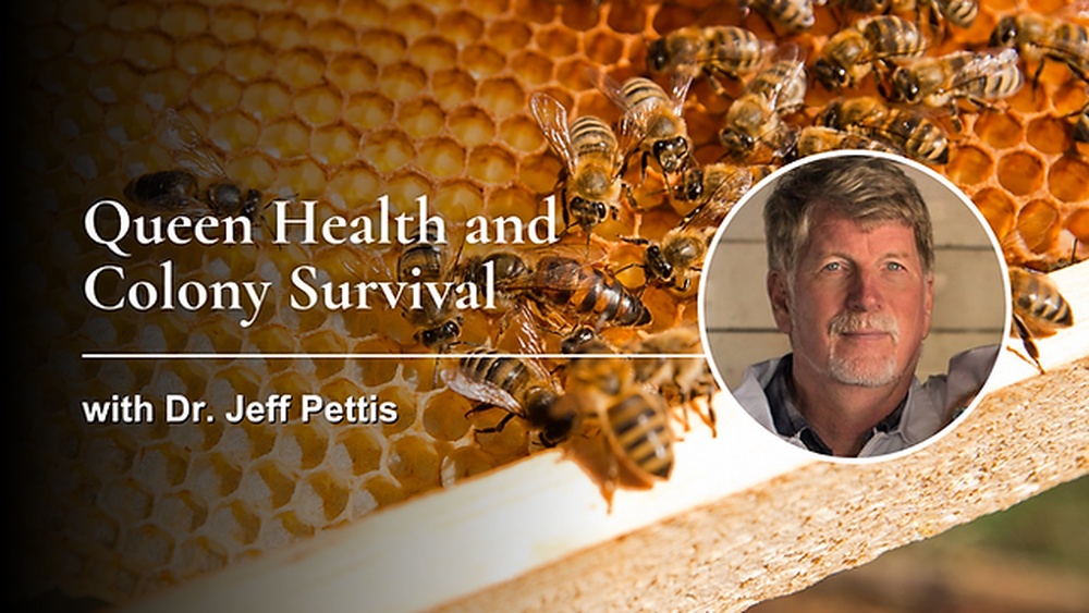 What Uses Gears in Colony Survival